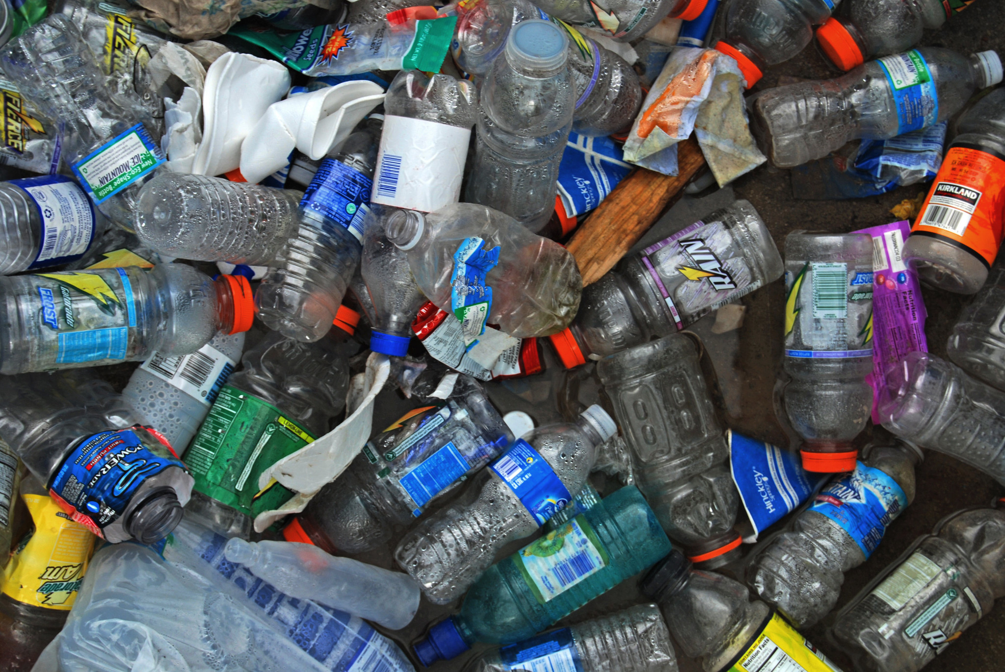 There is growing evidence that plastics and their chemical additives pose risks to human health. Data from more than 6,000 meta-analyses showed evidence of harm to the brain, thyroid, cardiovascular system, kidneys, bones, immune system and fertility, as well as elevated risk of type 2 diabetes, can