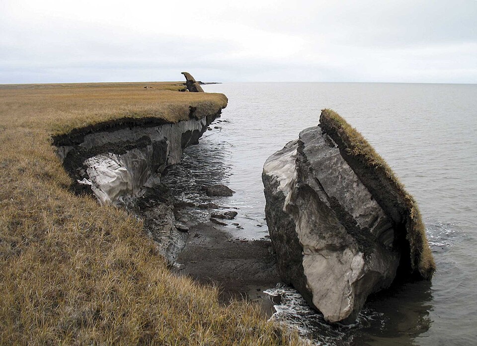 Collapsed permafrost (9356).jpg
