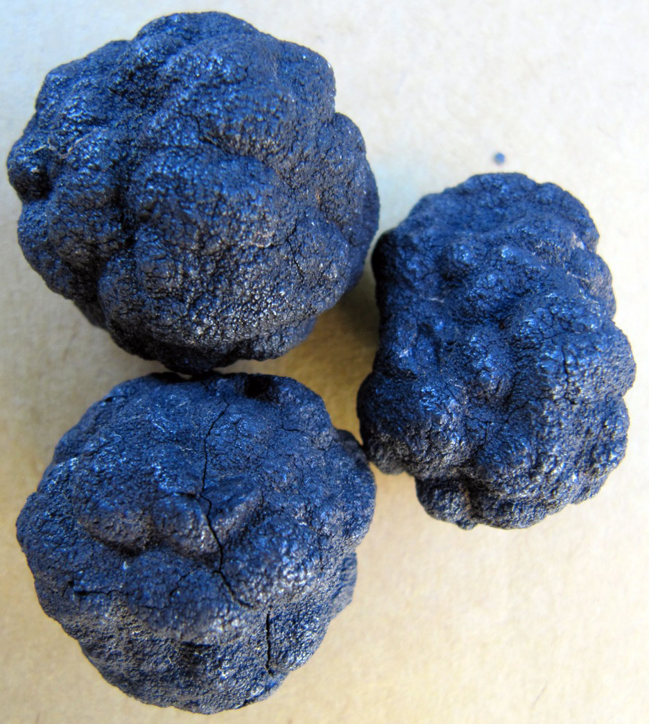 Ferromanganese nodules collected from the Clarion-Clipperton Zone during a U.S. Geological Survey research expedition. Image courtesy of USGS (Public domain).