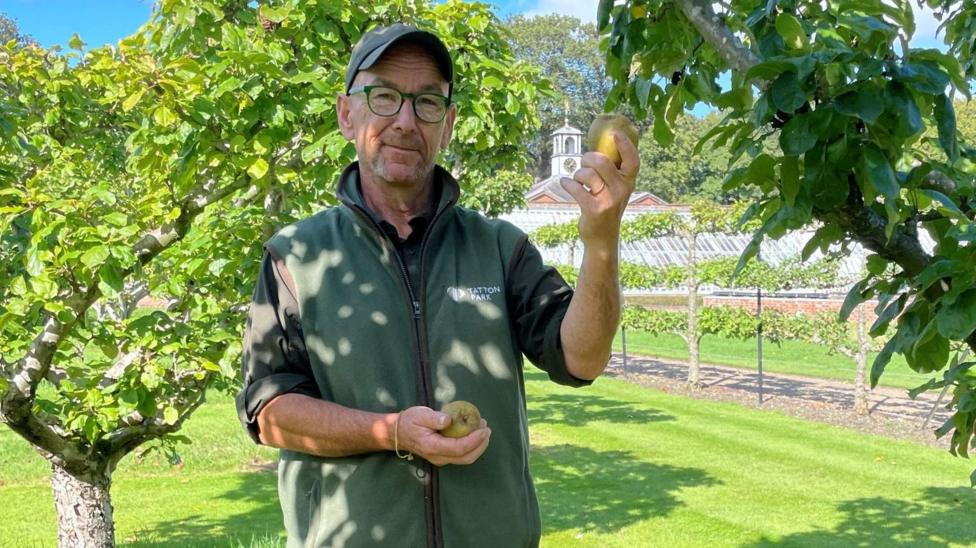 Simon Tetlow stands on a sunny lawn in an orchard, holding fruit picked from a tree. He is wearing a dark cap, glasses and a green fleece vest. Large leafy branches hang overhead, casting dappled shadows across the grass. Additional fruit trees and garden buildings can be seen in the background bene