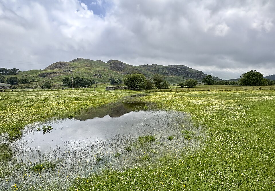 Minor flood in meadow - geograph.org.uk - 8072303.jpg