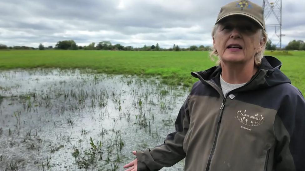 A woman in a waterproof jacket and boots stands in standing water in a field near trees. The field is flooded with water and appears boggy.