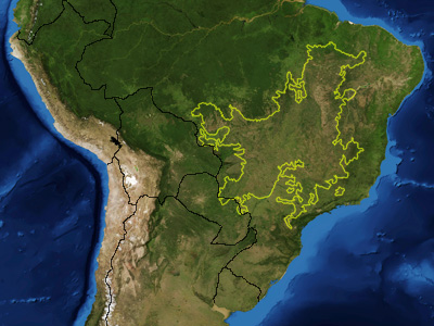 Cerrado ecoregion.jpg