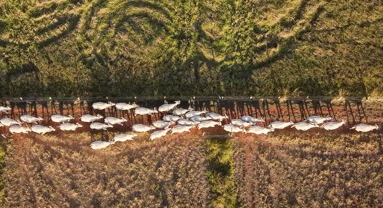 Toprak bozunumu 3 milyarı tehdit ederken üç restorasyon projesine BM ödülü