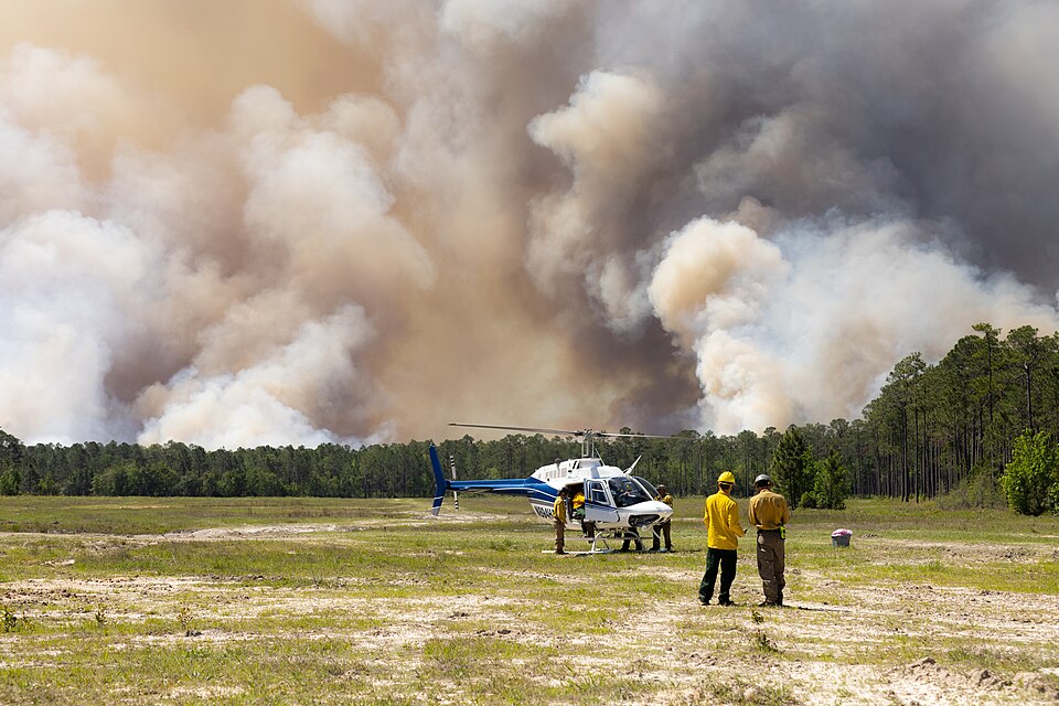 Mapping Fire’s Spread in a Georgia Pine Burn (154549 - fortstewarthelicopter 202504 lrg).jpg