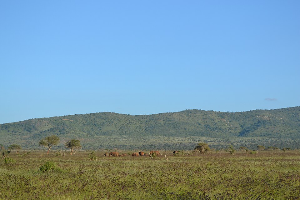 Savanna towards the south-east from the south of Taita Hills Game Lodge within the Taita Hills Wildlife Sanctuary in Kenya 4.jpg — "Savanna towards the south-east from the south of Taita Hills Game Lodge within the Taita Hills Wildlife Sanctuary in Kenya 4.jpg" by CT Cooper, CC BY 3.0, via Wikimedia Commons
