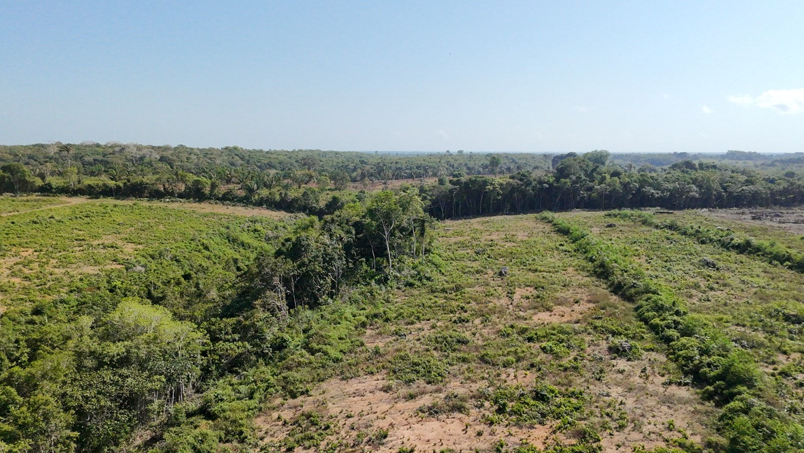 Image by Filipe Gabriel Mura. An aerial view of forest clearing near the planned Potássio Autazes mine in the Brazilian Amazon. Image by Filipe Gabriel Mura.