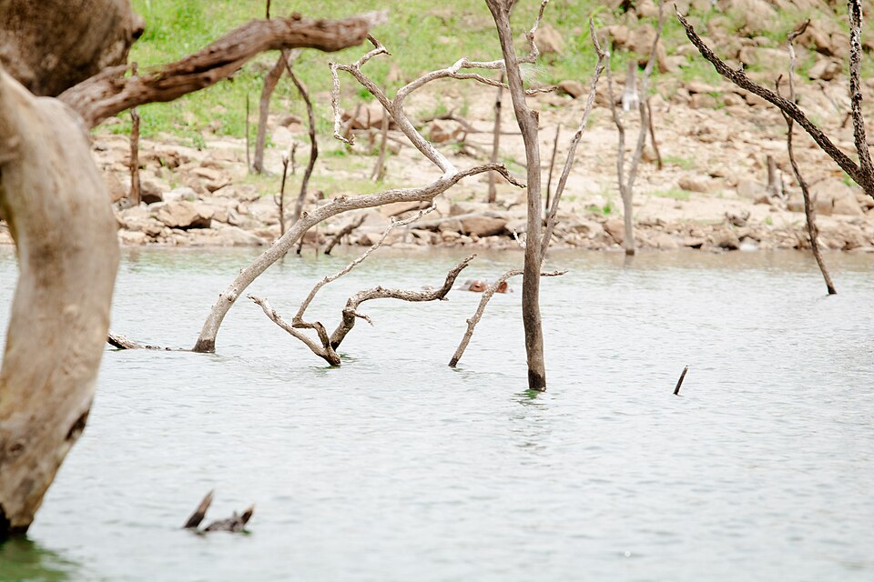 A dried-up riverbed.jpg