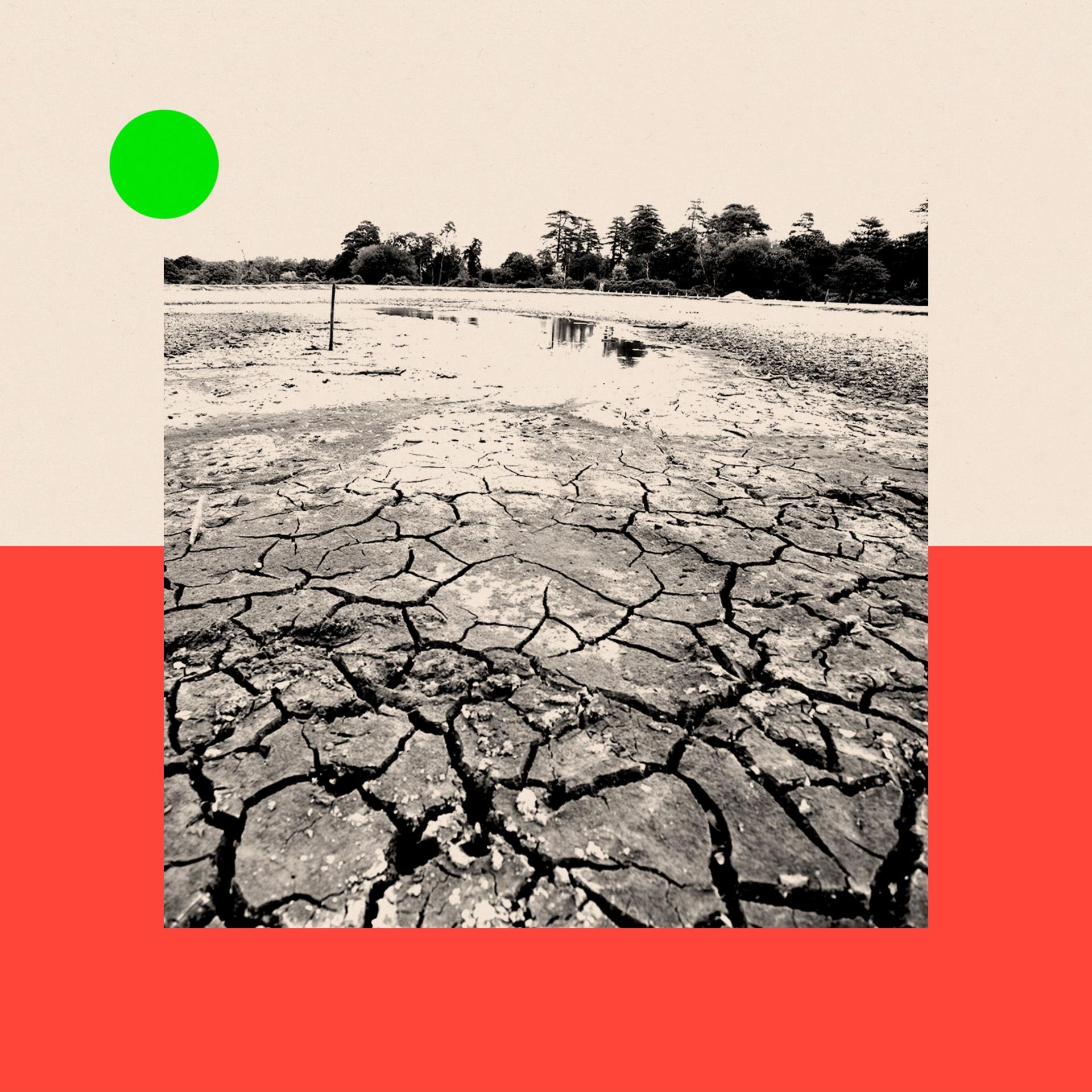 A dried up pond's cracked river bed. The image is surrounded by a red and beige square with a green decorative dot in the top left corner