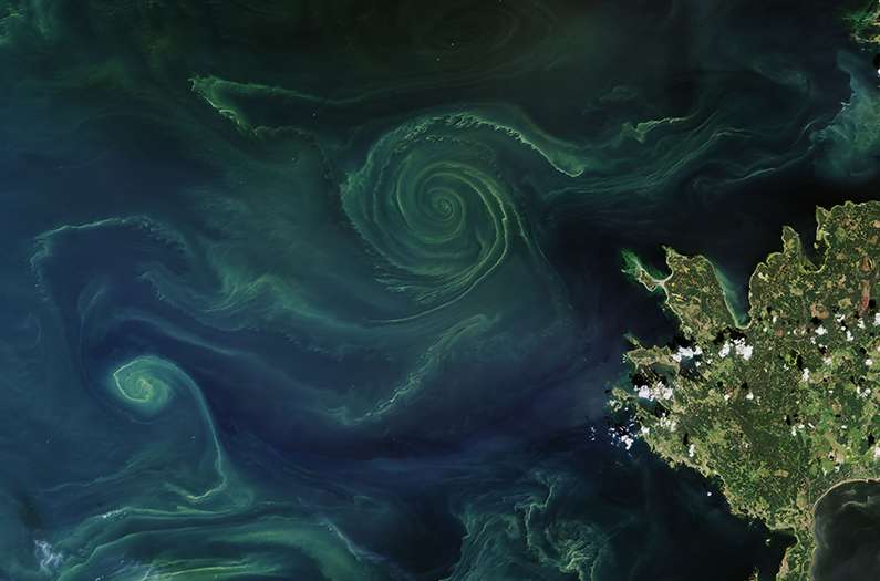 Aerial view of swirling green ocean currents near a rocky coastline on the right side of the image.