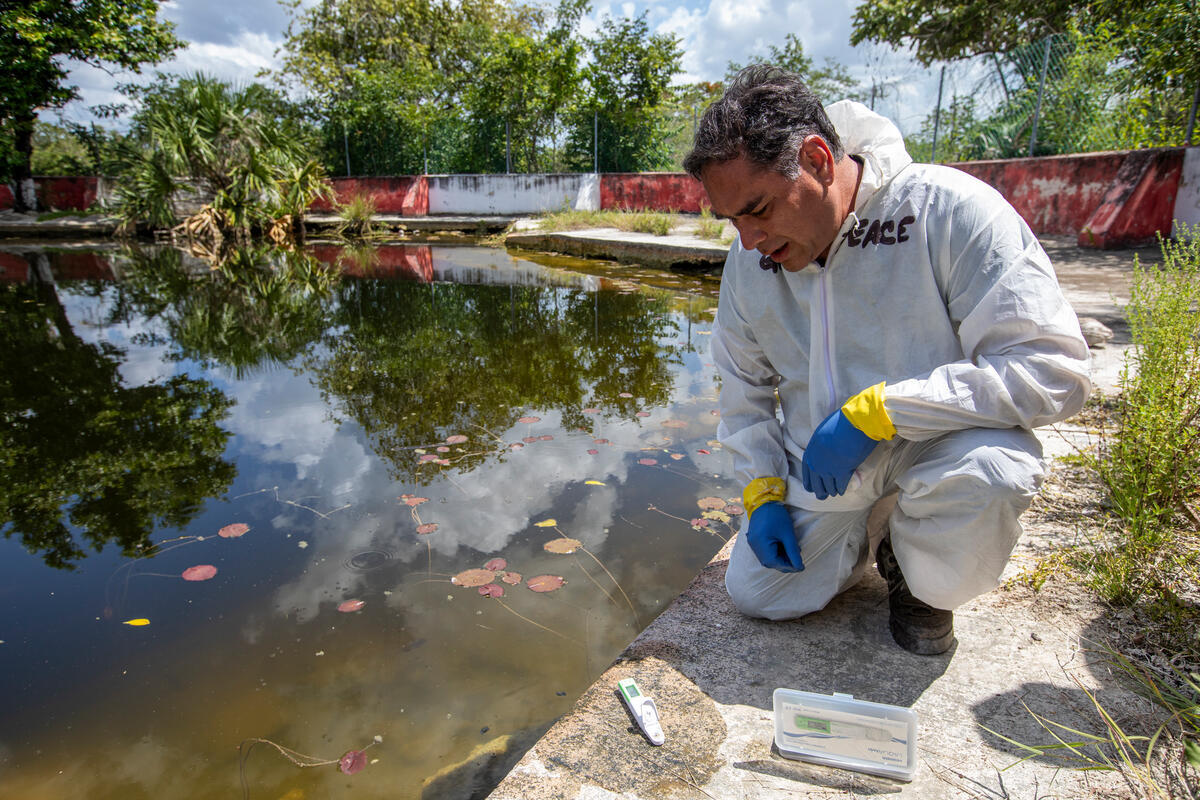 At the beginning of August 2026, Greenpeace Mexico conducted field work to document the contamination of the Mayan aquifer in Mayan communities at the Yucatán Peninsula. The contamination is linked to the rapid expansion of industrial pig and poultry farming in the state of Yucatán © Sara Escobar / Greenpeace · Greenpeace media (CC BY-NC 2.0 where stated) As part of Greenpeace Mexico’s "Mexico: A Cry for the Jungle!" campaign, an investigation was conducted to document and raise awareness about the contamination of the Mayan aquifer in the Yucatán Peninsula across eight Mayan communities—contamination linked to the rapid expansion of industrial pig a — At the beginning of August 2026, Greenpeace Mexico conducted field work to document the contamination of the Mayan aquifer in Mayan communities at the Yucatán Peninsula. The contamination is linked to the rapid expansion of industrial pig and poultry farming in the state of Yucatán © Sara Escobar / Greenpeace · Greenpeace media (CC BY-NC 2.0 where stated)