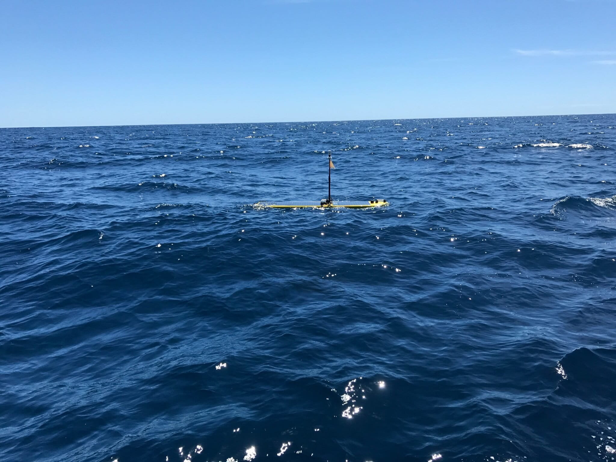 Scientists used a solar-powered acoustic wave glider, pictured above, to record audio and gather environmental data. Image courtesy of FAU Harbor Branch.