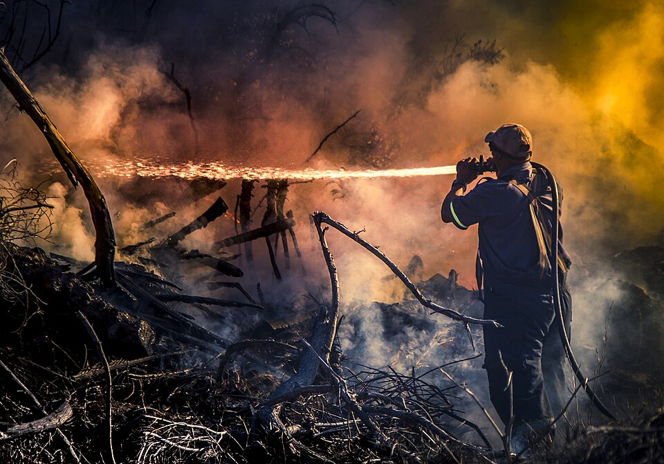 Firefighter, Ashton Bay, March 2017.jpg