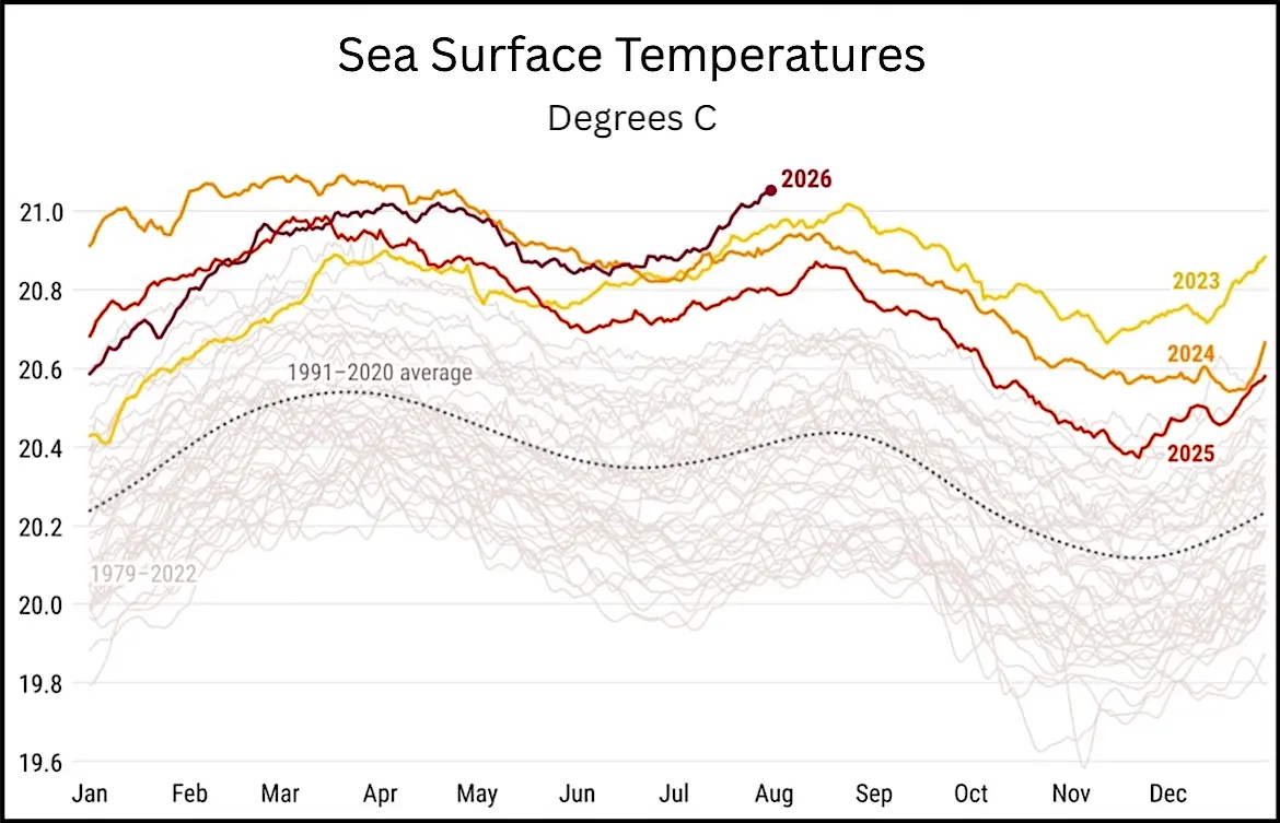 Daily sea surface temperatures between the 60th parallel south and 60th parallel north.