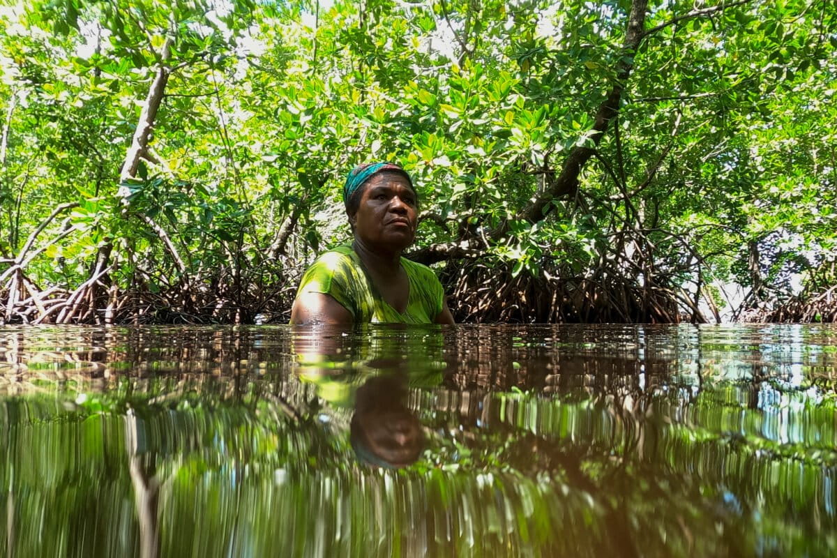 Image via Mongabay Orman hakları fonu 2,35 milyar dolarla COP26 hedefini aştı — Image via Mongabay