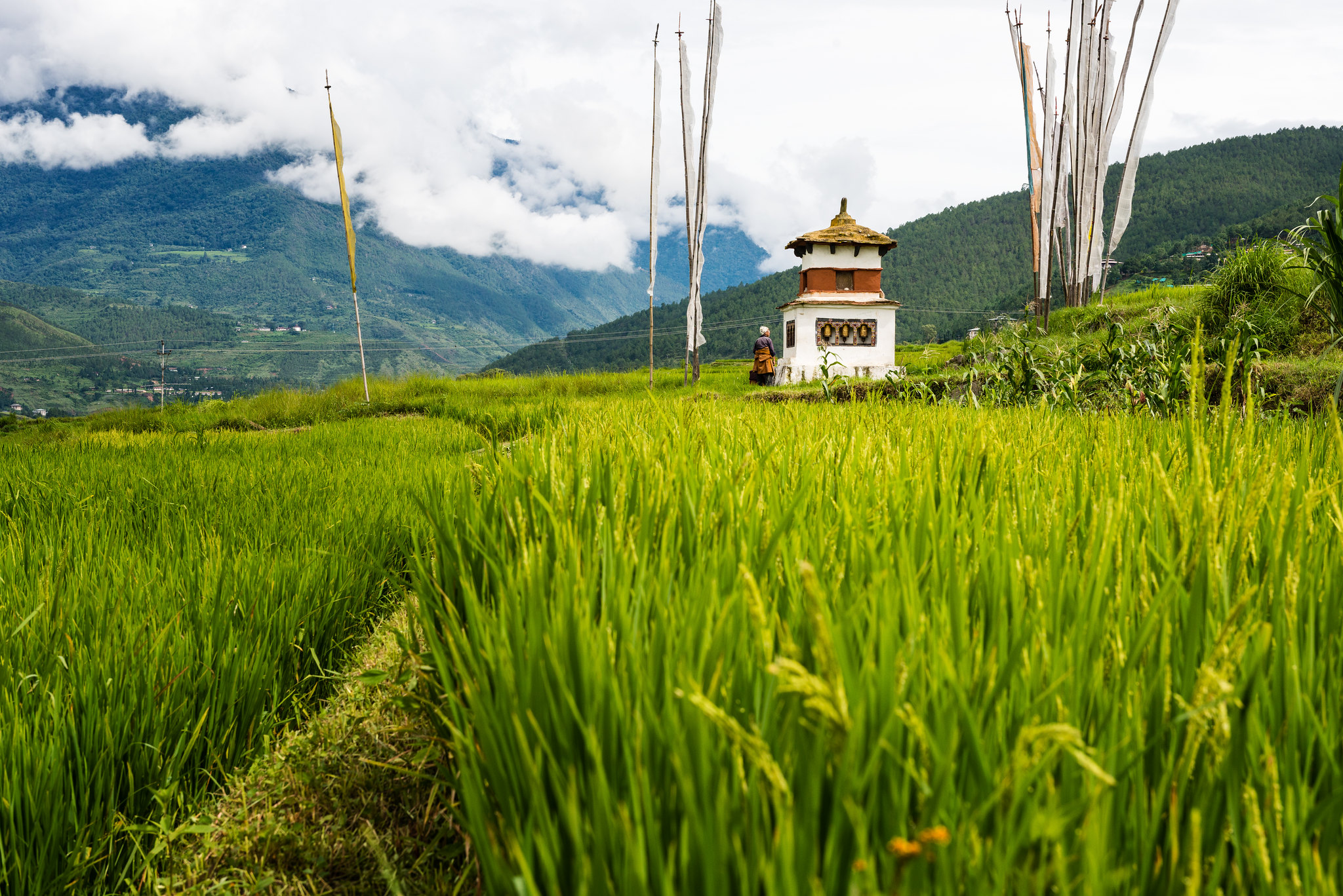 A chorten at a rice field in Bhutan.