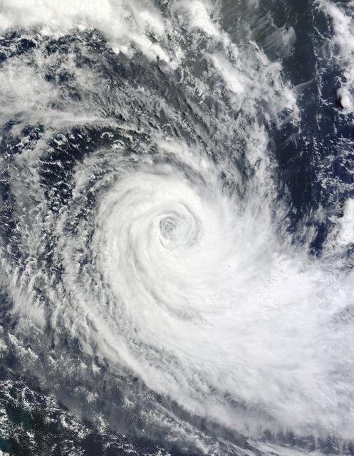 NASA Satellite Image of Tropical Cyclone Ului — "NASA Satellite Image of Tropical Cyclone Ului" courtesy of GSFC, via NASA Image and Video Library · NASA Media Usage Guidelines