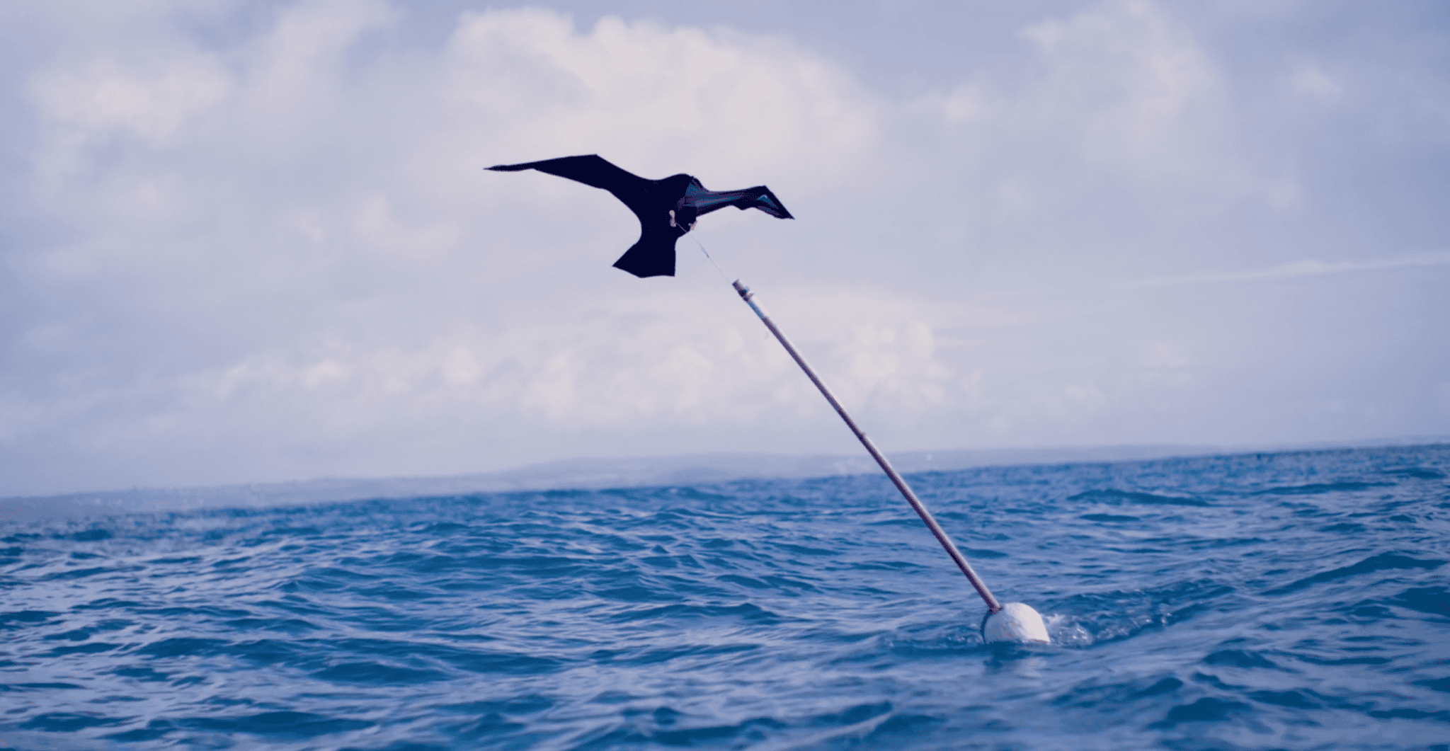 A bird of prey shaped kite deters seabirds from plunging into fishing nets. Photo courtesy of Fisktek
