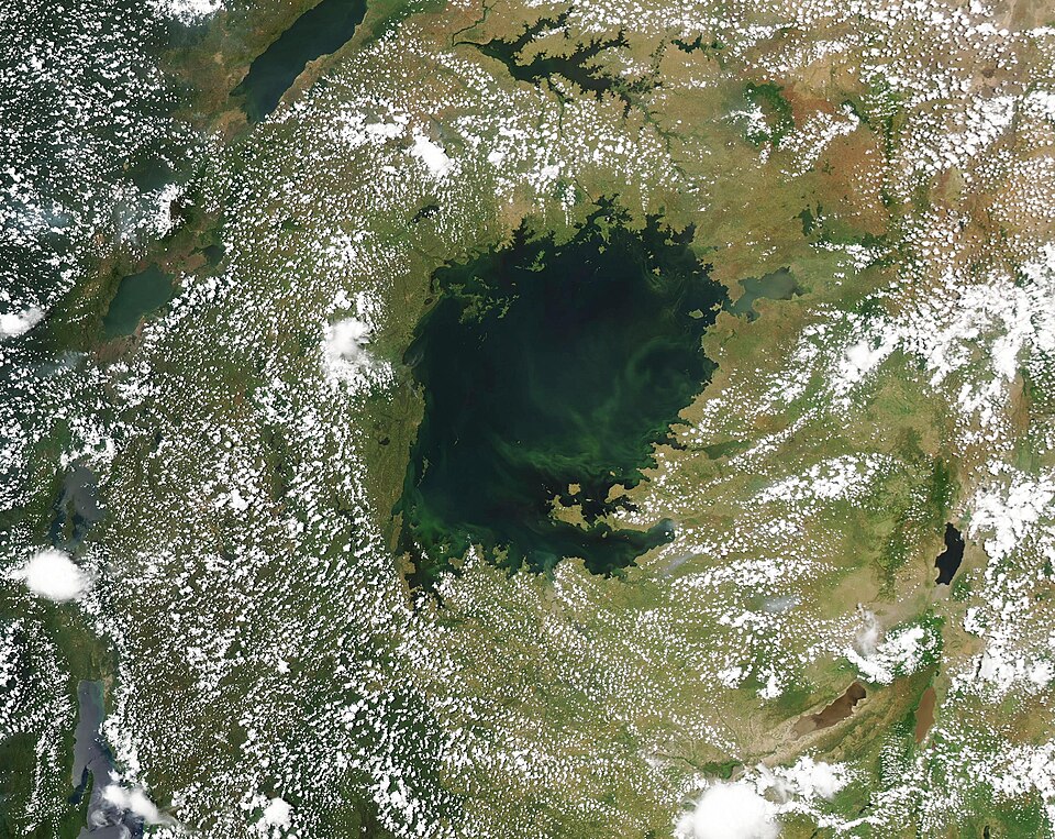 Lake Victoria (MODIS 2024-03-31).jpg