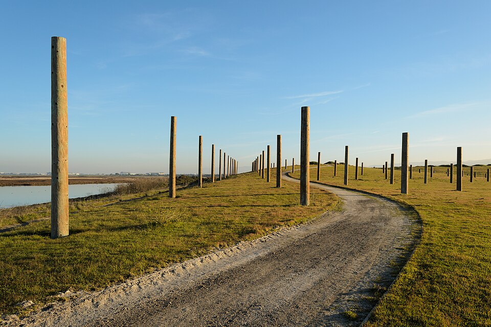Palo Alto Baylands January 2013 002.jpg