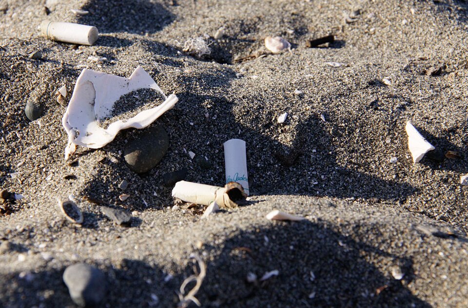 Detritus from the sea and air (6140659760).jpg