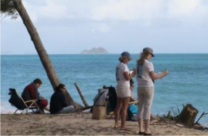 Hawaiian Islands Humpback Whale National Marine Sanctuary volunteers count 2006.png