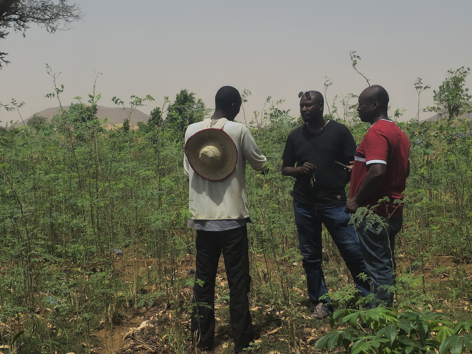 Bassirou Sani Boubacar Gaoh (center) and another researcher talk with a farmer in Konni, Niger about the pest challenges he faces in his field. Courtesy of Bassirou Sani Boubacar Gaoh