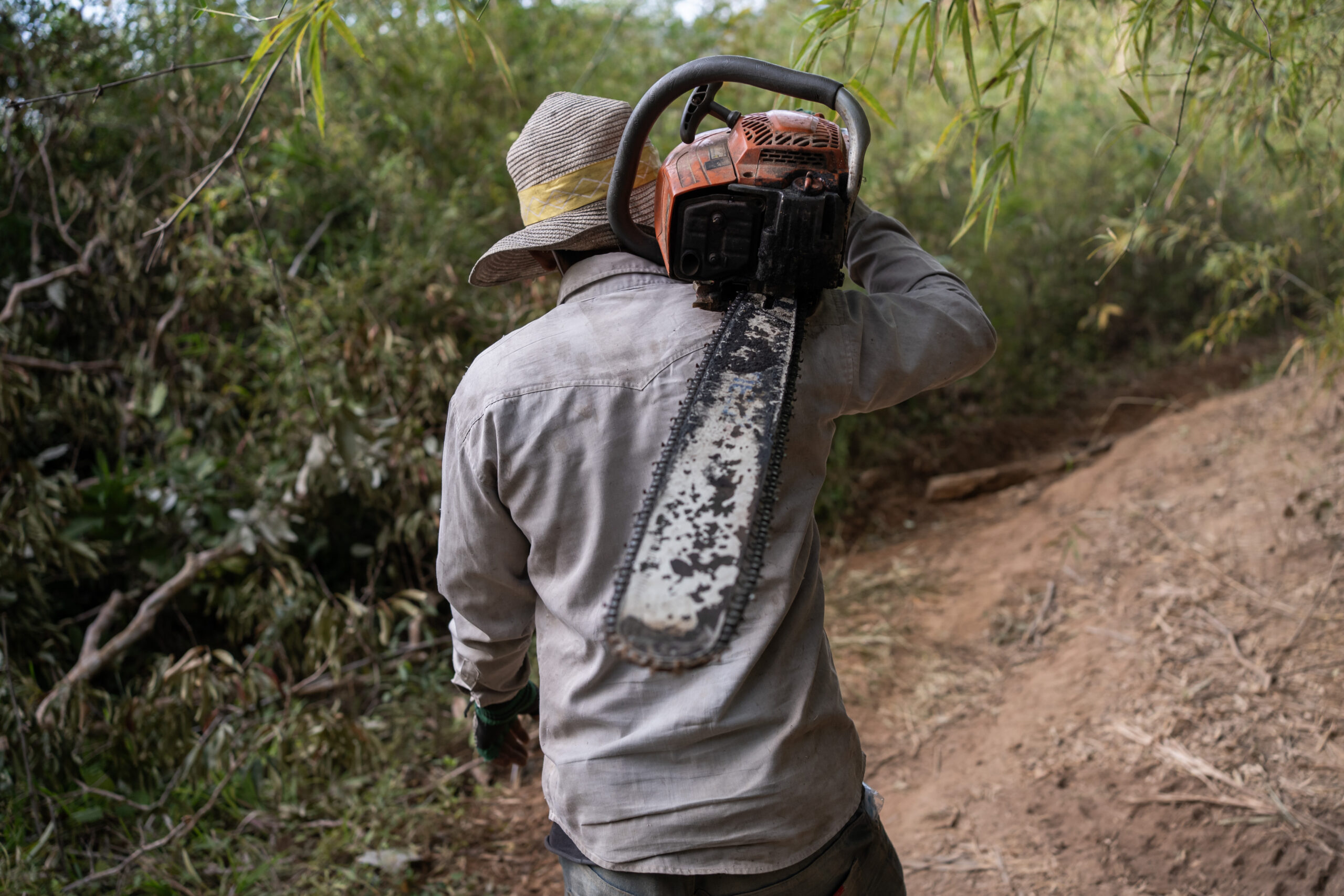 A logger carries his chainsaw through the forest of the Cardamom Mountains in Cambodia. Image by Andy Ball/Mongabay.