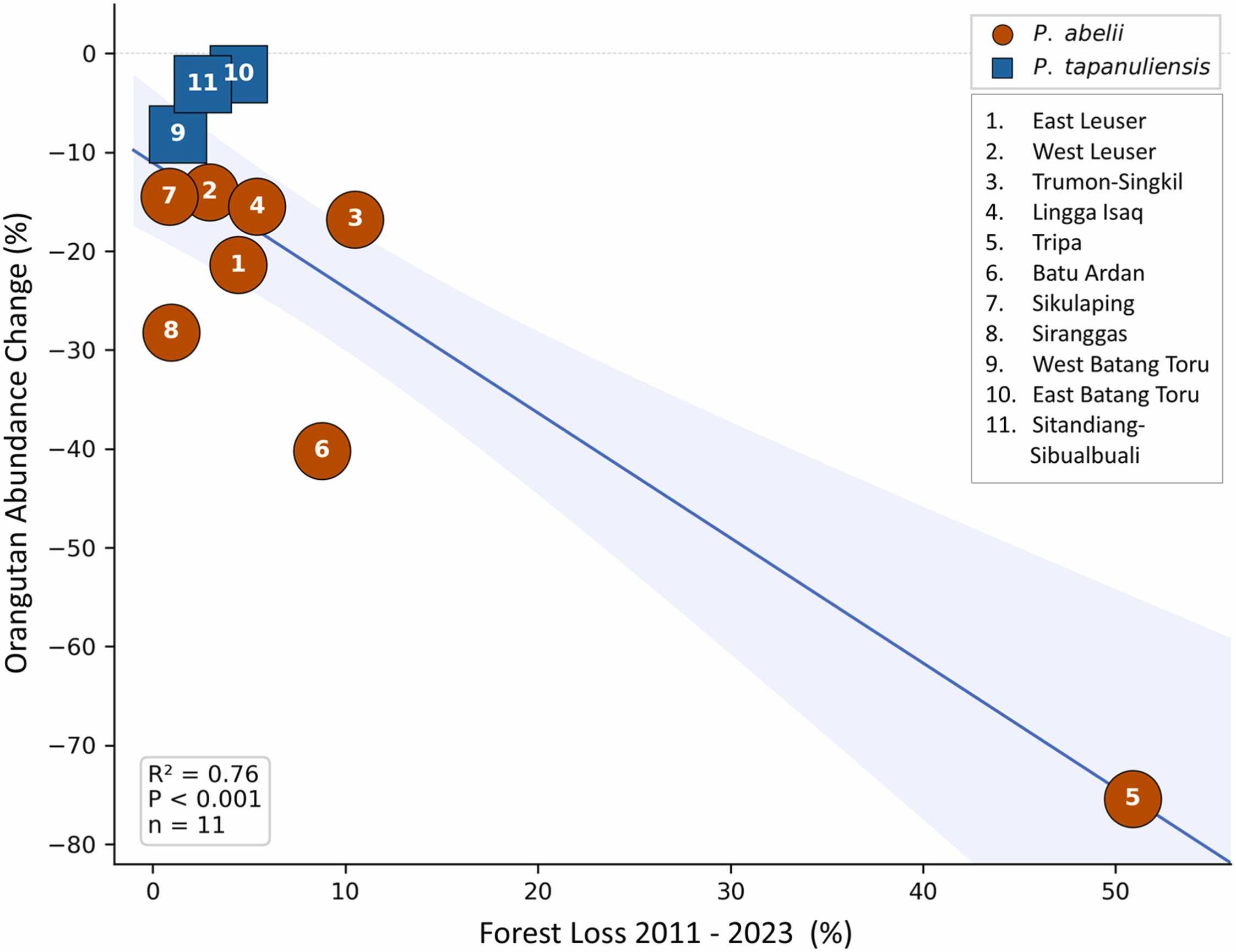 Relationship between proportional forest loss (2011–2023) and proportional population change across Sumatran and Tapanuli orangutan meta-populations, northern Sumatra. Forest loss explains 76% of variation in population change (R² = 0.76, P < 0.001). Numbers identify meta-populations. Meta-populations falling below the regression line (notably Batu Ardan and Siranggas) experienced declines exceeding those predicted by habitat loss alone, implicating additional non-habitat threats.