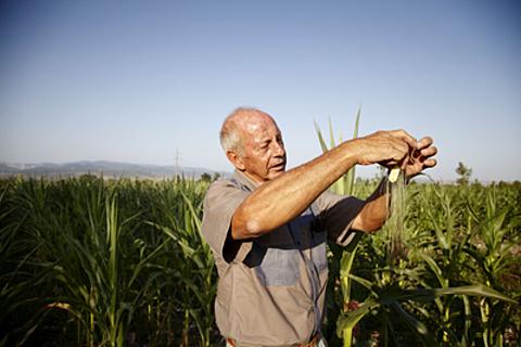 South African farmer in Georgia.jpg