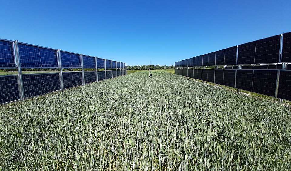 Agrivoltaic installation Foulum.jpg