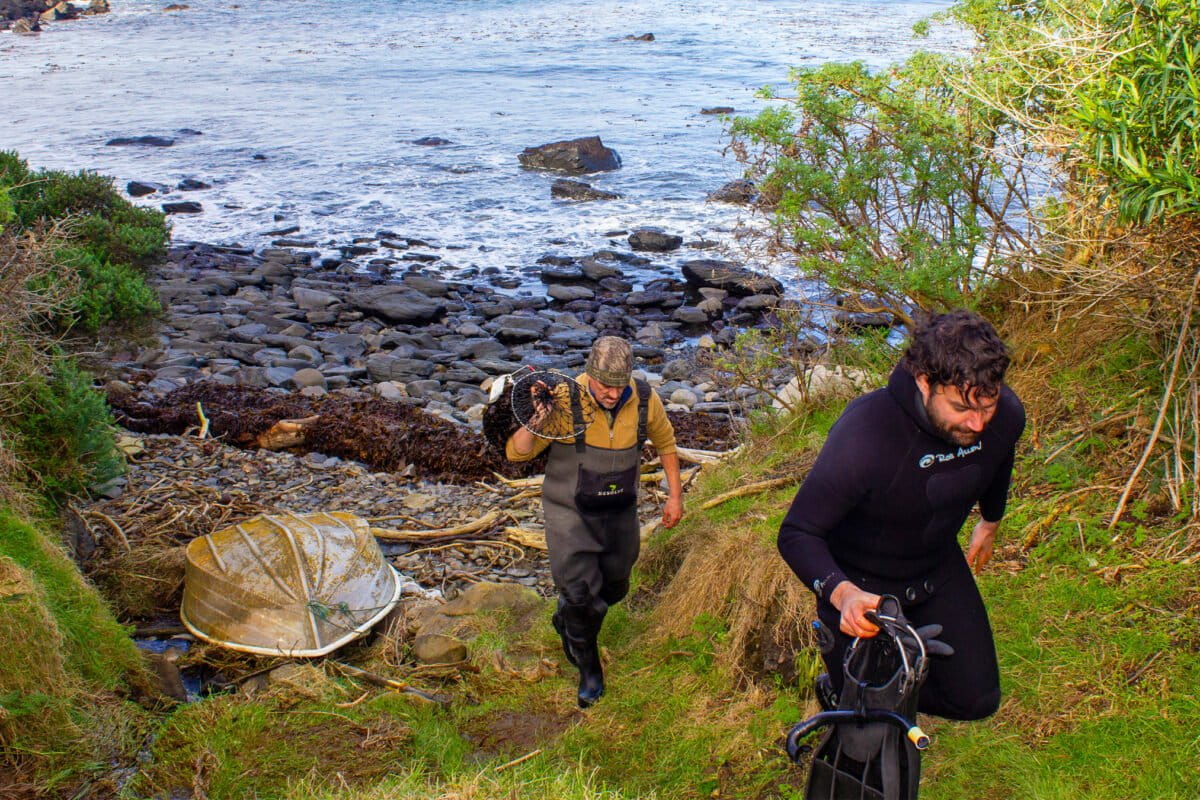 Members of the Kāi Tahu marine ranger team return from harvesting seaweed. Image by Edward Carver for Mongabay.