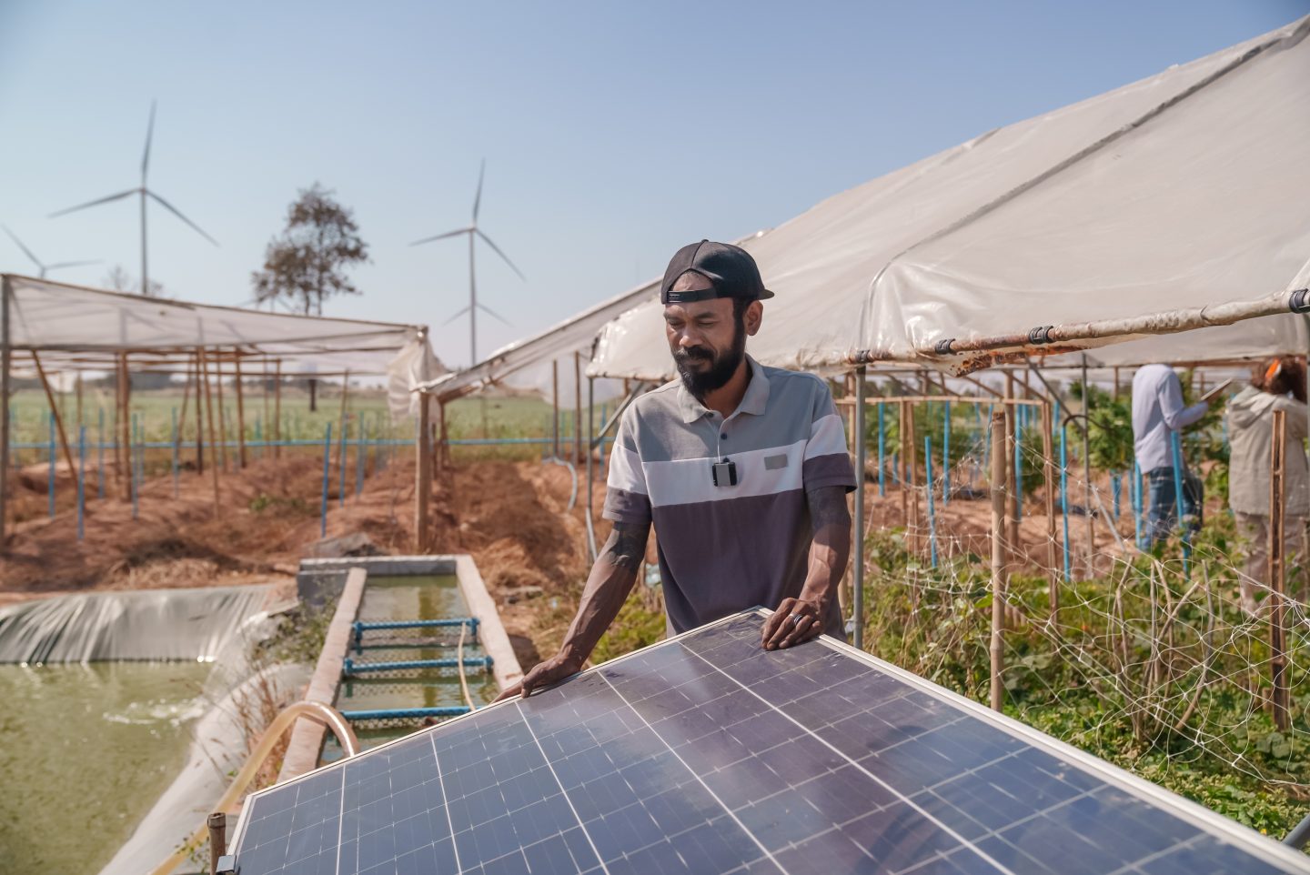 Farmers use solar panels to help with cultivation (Photo: Me 3645 Studio/Getty Images}