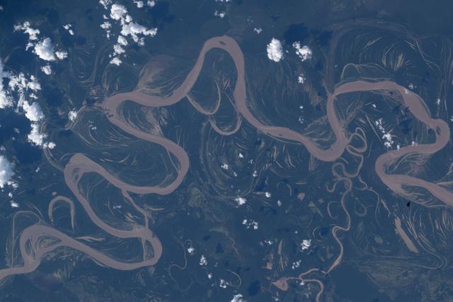 The Ucayali River in the lowland Amazon rainforest of central Peru