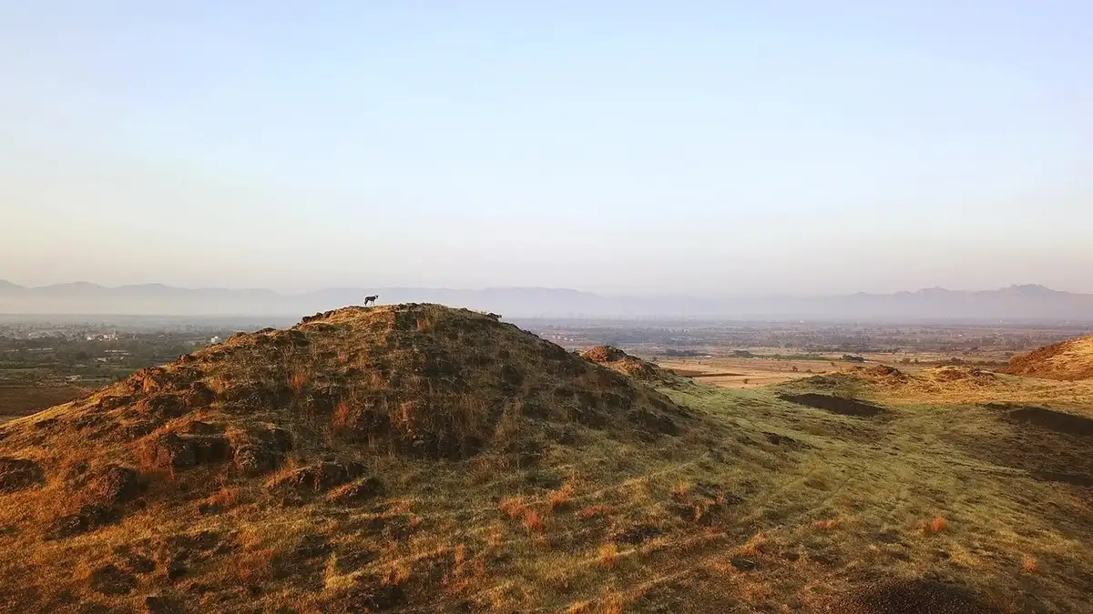 Hindistan 'Çorak Arazi' Etiketini Kaldırıyor: Otlaklar Ulusal Atlasla Korunacak