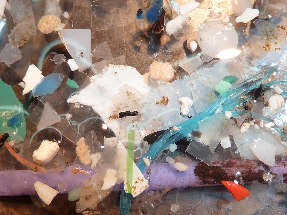 Micro-plastiques flottants (Ifremer 00566-67809).jpg