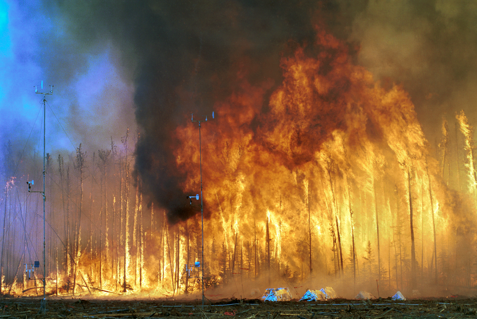 Northwest Crown Fire Experiment.png