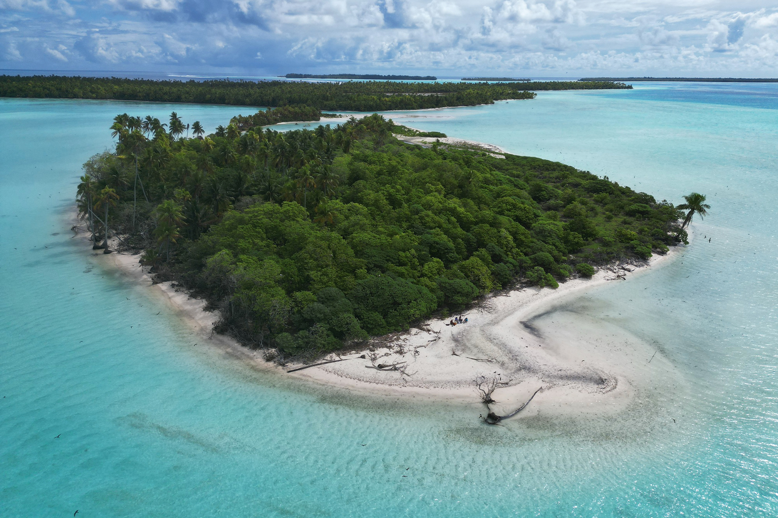 Atoll islands of Tetiaroa Atoll, French Polynesia. Research indicates rewilding atoll islands through rat eradication and planting native vegetation would boost climate resilience, and on sparsely populated or uninhabited islands offers an alternative to expensive engineering defenses against sea le — Image by Yadvinder Malhi.