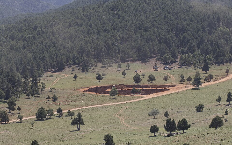 Mining & Forest - Madencilik ve Orman 02.jpg