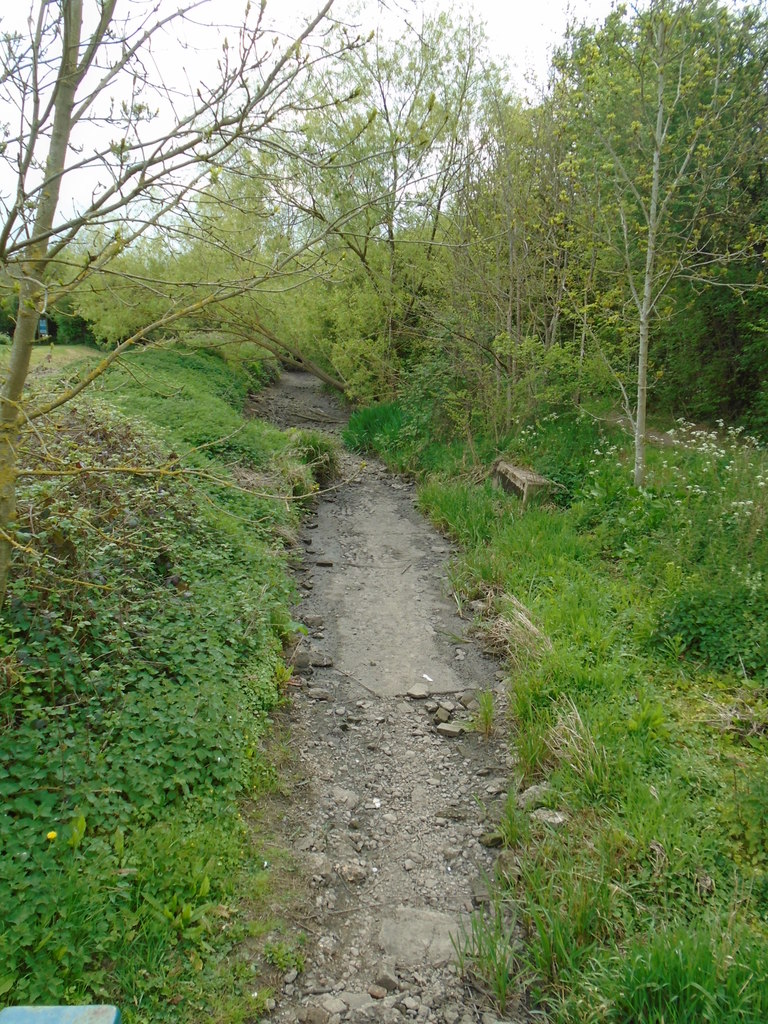 River in drought 5 dry river bed to the west - geograph.org.uk - 5363152.jpg