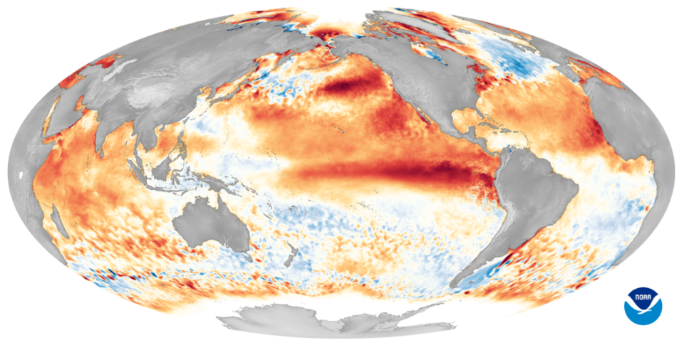 El Niño in 2016.png