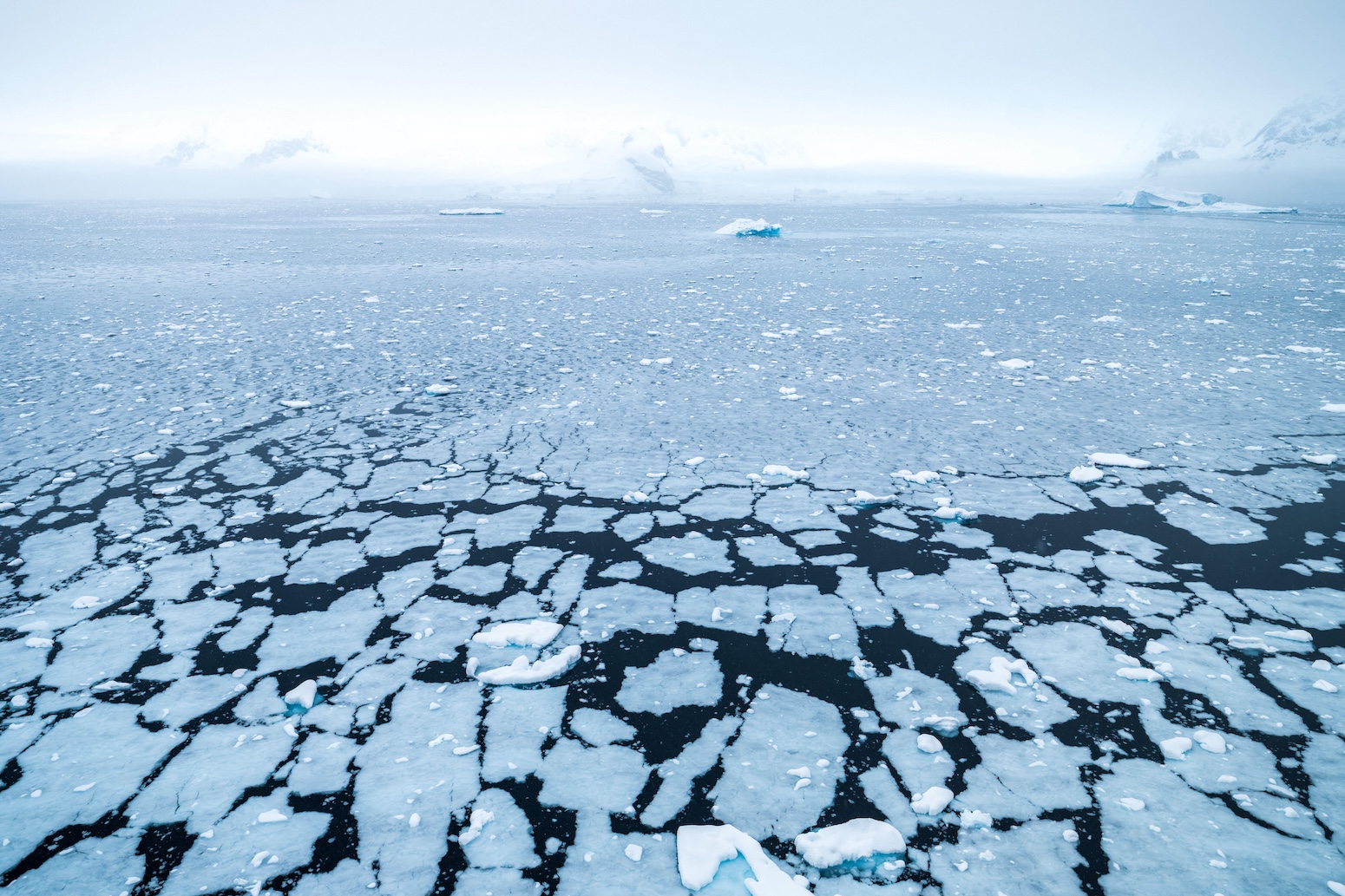Antarctic sea ice breaking up. Credit: Mara Unkefer / Alamy Stock Photo