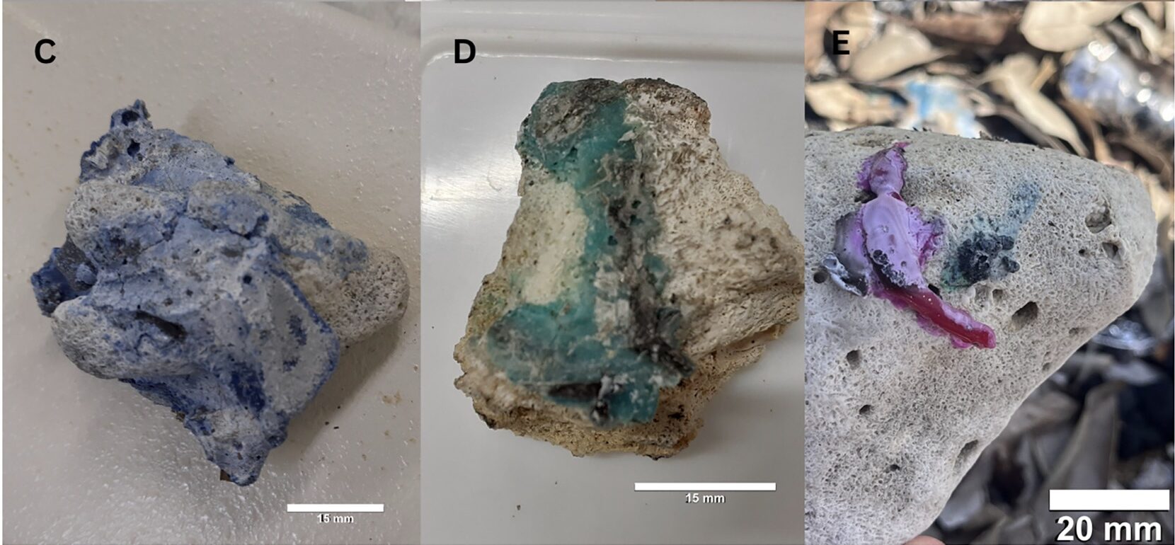 Banner image: Plasticoral collected from Okinawa beaches. Image courtesy of Ilechukwu et al., 2026.