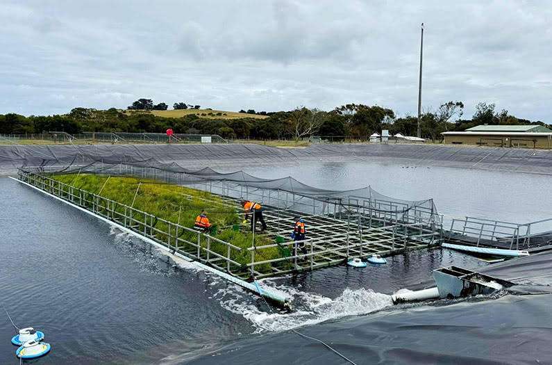 Researchers had a hunch about how to solve the climate problem caused by wastewater treatment