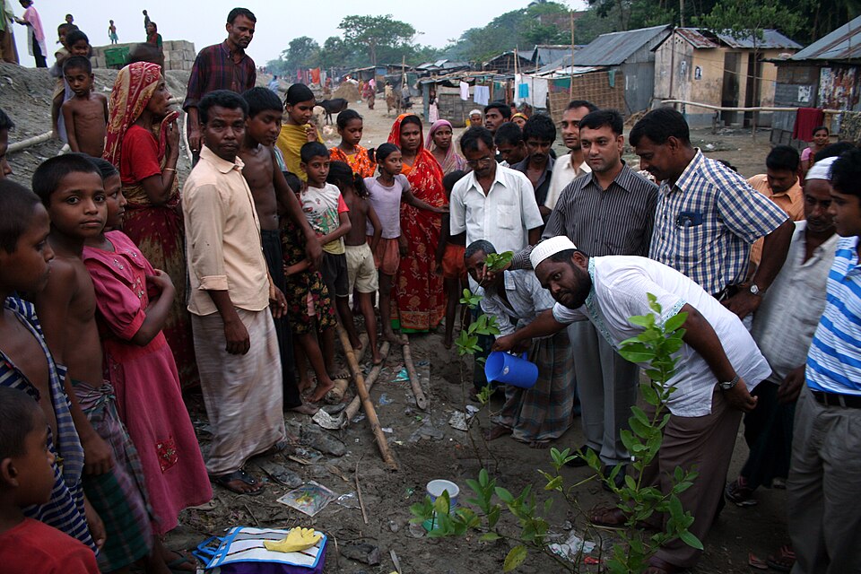 Members of Kalibari community and Mymensingh Pourashava help with demo plot (3683094837).jpg