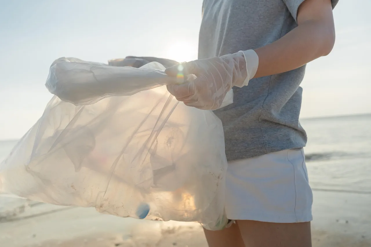 Image by chaiyananuwatmongkolchai from Pixabay · Pixabay Content License volunteer, pollution, bottle plastic, environment, sea, beach, dirty, problem, global warming, ecology, junk, person, waste, ocean, sand, recycling, garbage, protection, discard, nature, earth day, volunteer, volunteer, volunteer, volunteer, volunteer, global warming, recycling, recycling, earth day — Image by chaiyananuwatmongkolchai from Pixabay · Pixabay Content License