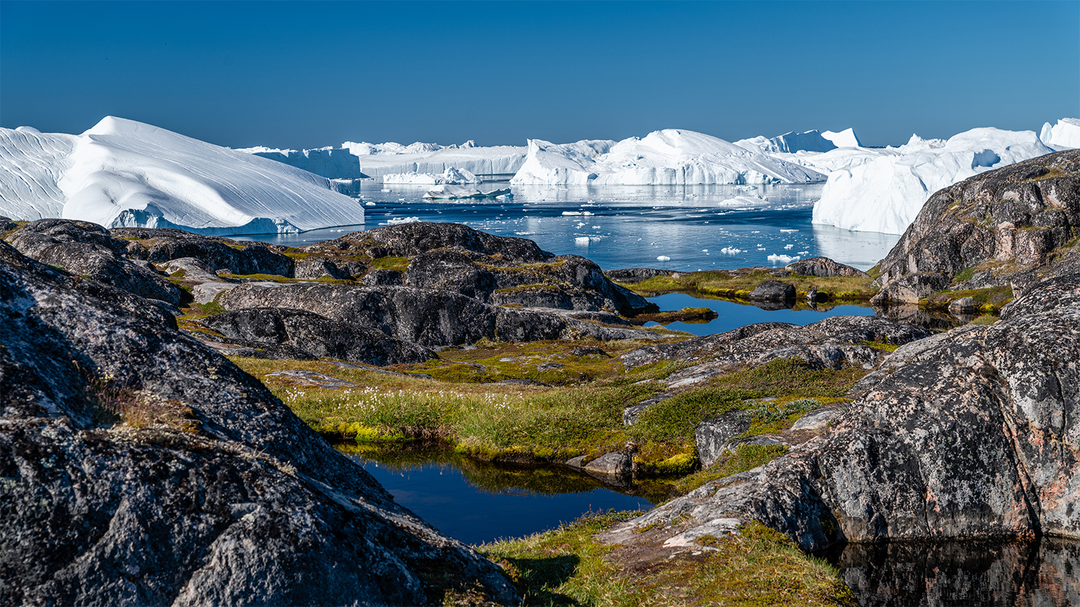 Icebergs in the Ilulissat Icefjord
