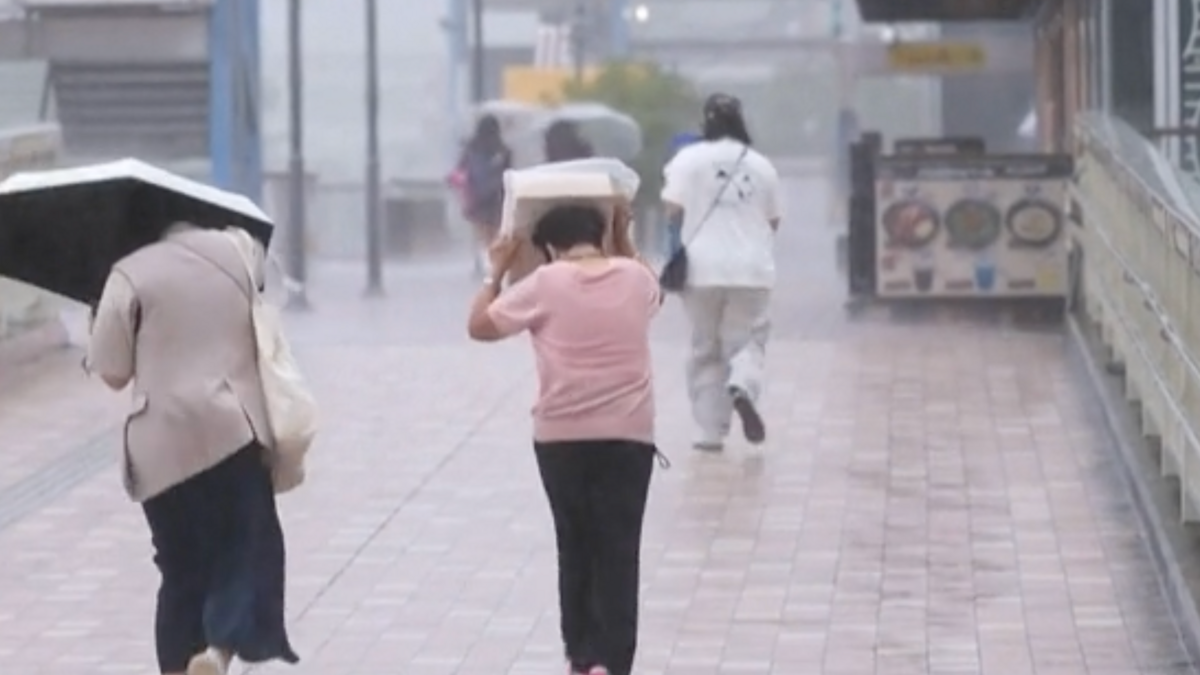 A person wearing a top and trousers walking through a storm covering their head with a box.