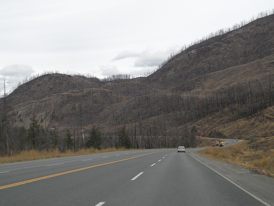 Wildfire damage near Barriere 0615.jpg