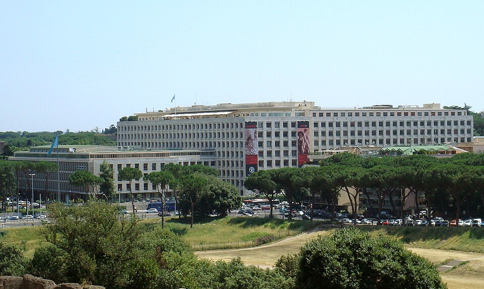 Food and Agriculture Organization HQ 2008.jpg